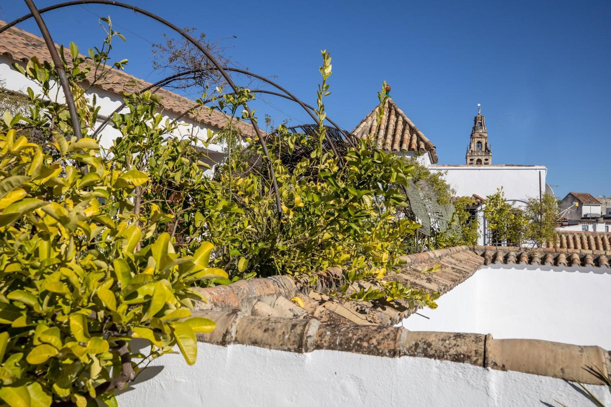 Palacio Marqués Vega Armijo Córdoba Exterior foto